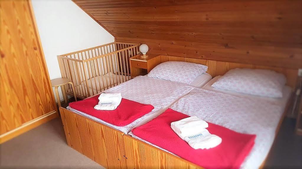 Penzion Vila Bistrica Bohinjska Bistrica Kültér fotó